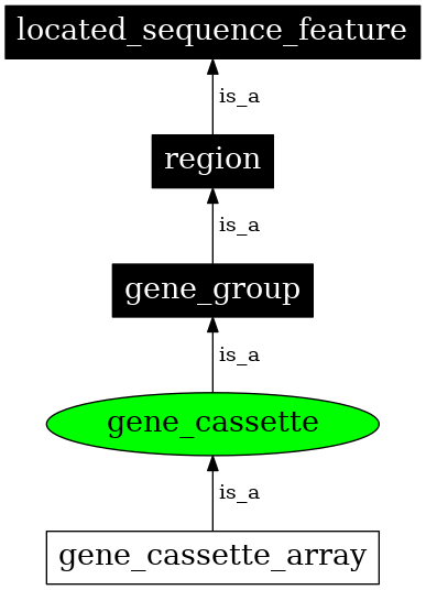Graph image for SO:0005853