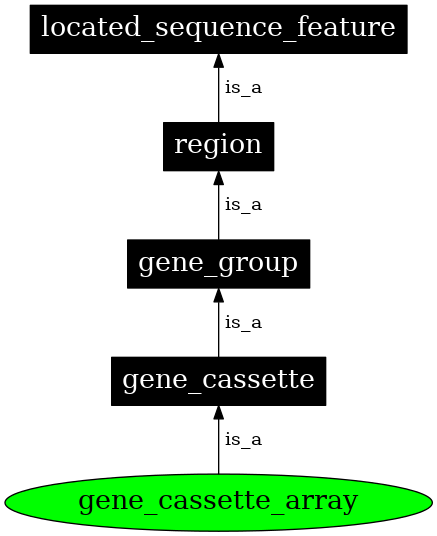 Graph image for SO:0005854