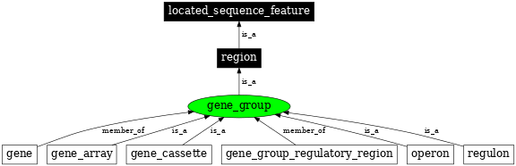 Graph image for SO:0005855