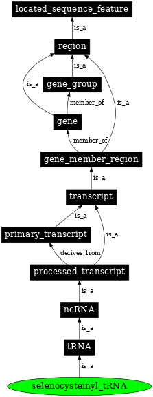 Graph image for SO:0005857