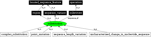 Graph image for SO:1000002