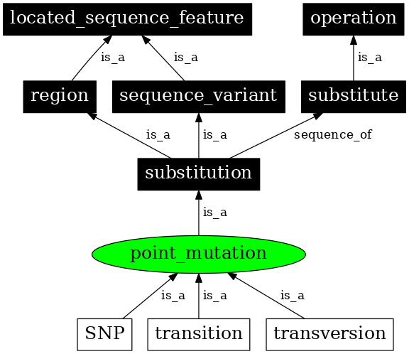 Graph image for SO:1000008