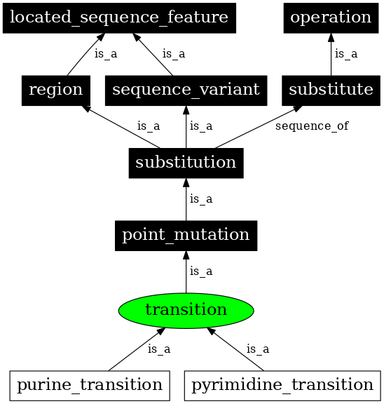 Graph image for SO:1000009