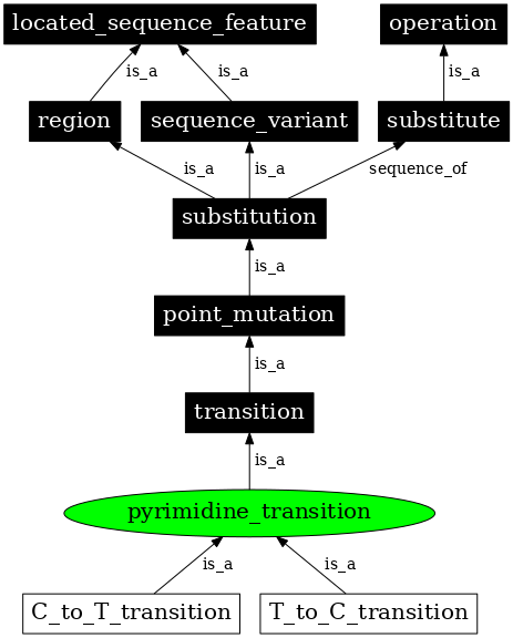 Graph image for SO:1000010