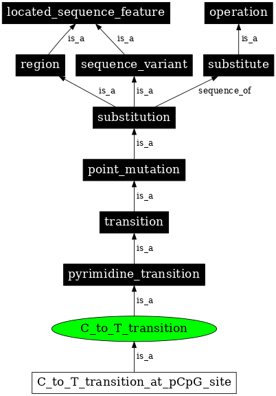 Graph image for SO:1000011