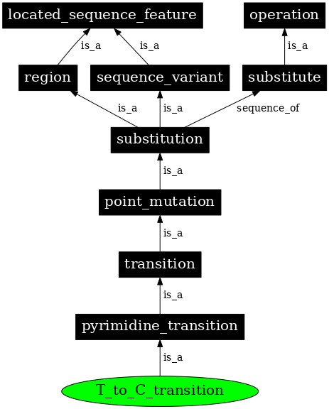 Graph image for SO:1000013