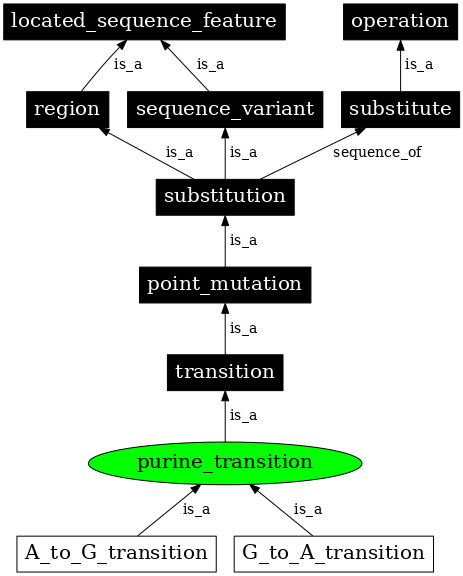 Graph image for SO:1000014