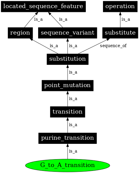 Graph image for SO:1000016