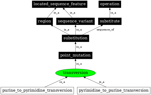 Graph image for SO:1000017