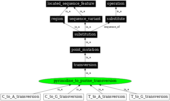 Graph image for SO:1000018