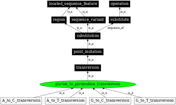 Graph image for SO:1000023
