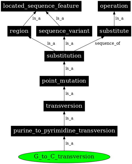 Graph image for SO:1000026