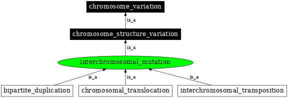 Graph image for SO:1000031