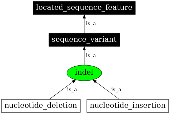 Graph image for SO:1000032