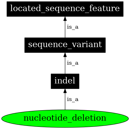 Graph image for SO:1000033