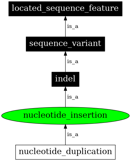 Graph image for SO:1000034