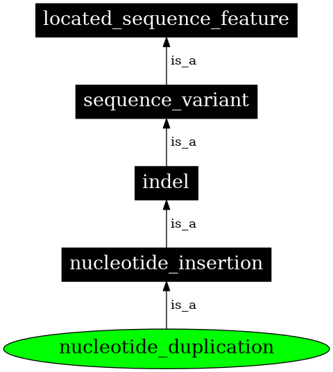 Graph image for SO:1000035