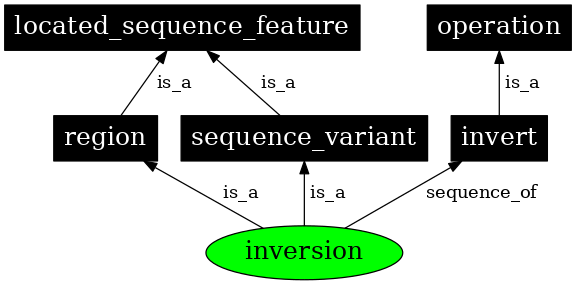 Graph image for SO:1000036