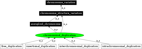 Graph image for SO:1000037