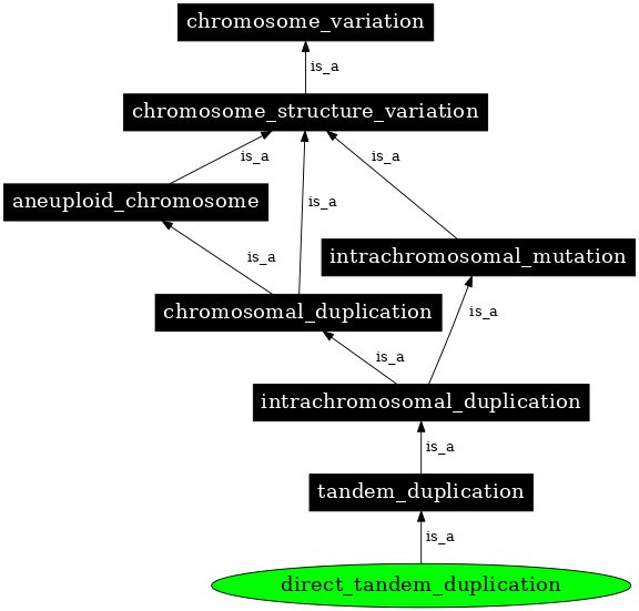 Graph image for SO:1000039