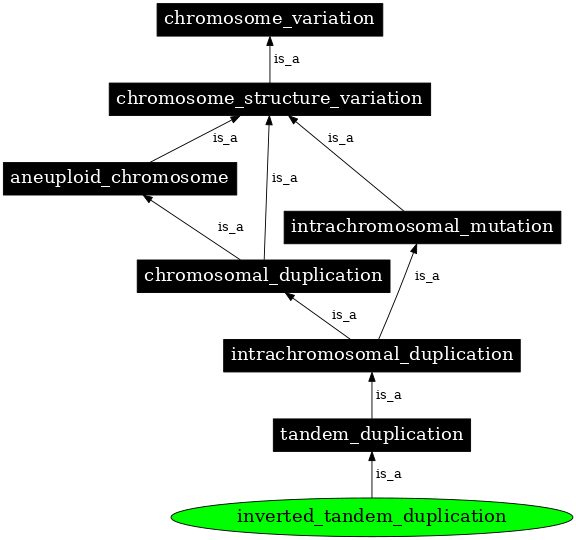Graph image for SO:1000040