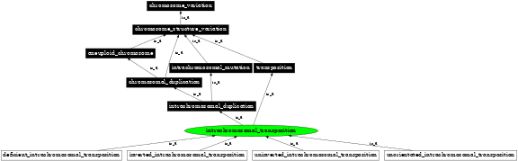 Graph image for SO:1000041