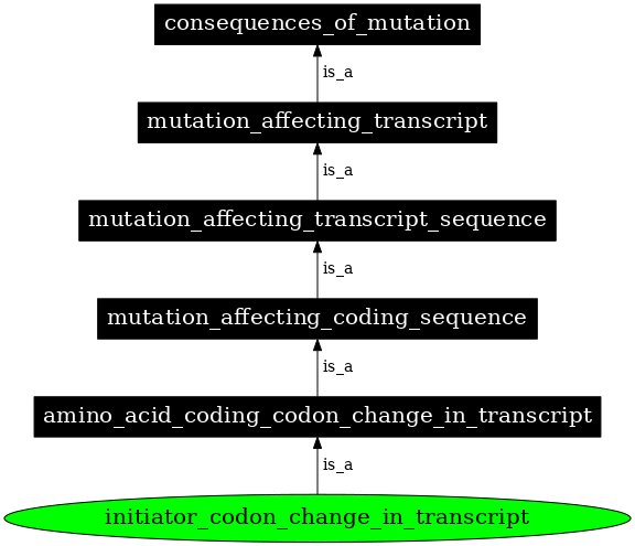 Graph image for SO:1000055