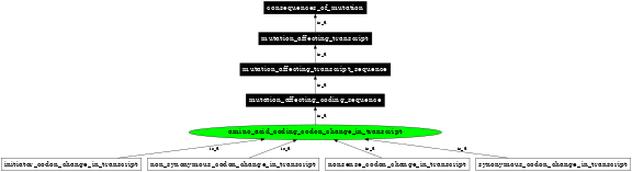 Graph image for SO:1000056