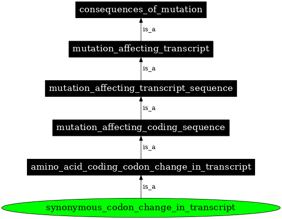 Graph image for SO:1000057
