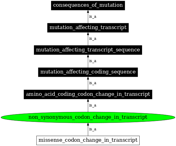 Graph image for SO:1000058