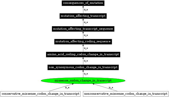 Graph image for SO:1000059