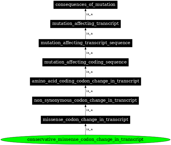 Graph image for SO:1000060