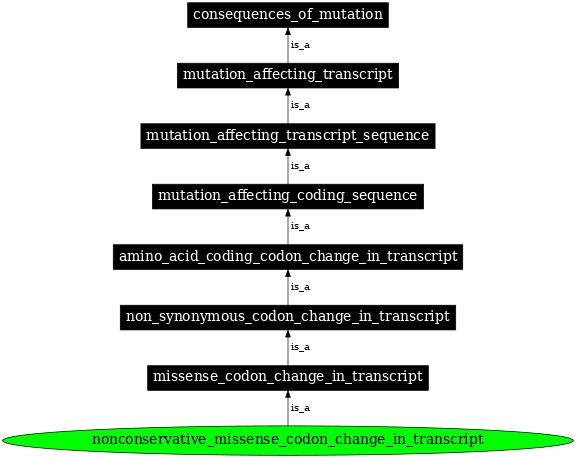 Graph image for SO:1000061
