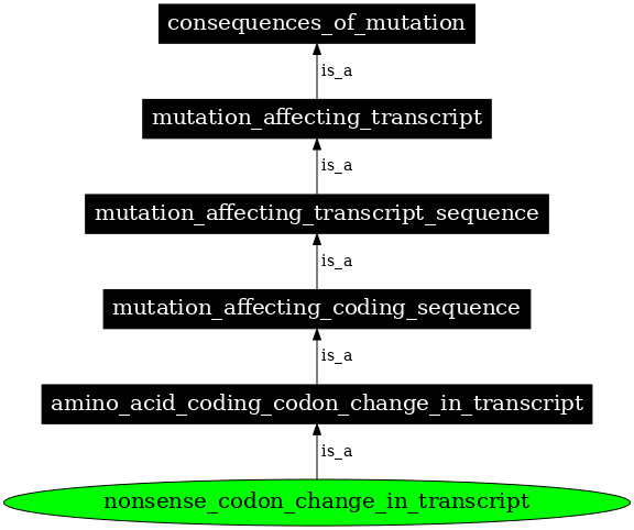 Graph image for SO:1000062