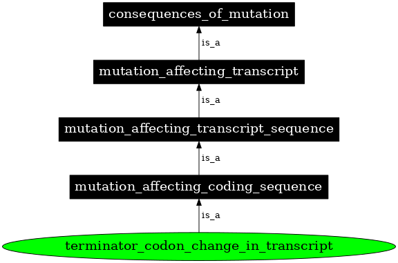 Graph image for SO:1000063