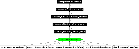 Graph image for SO:1000065