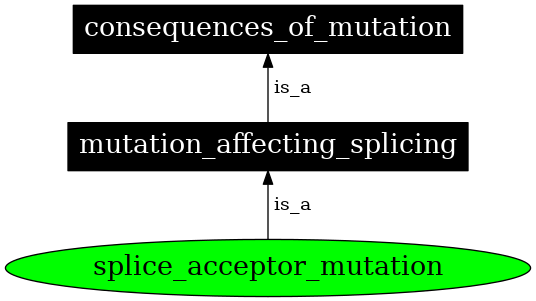 Graph image for SO:1000073