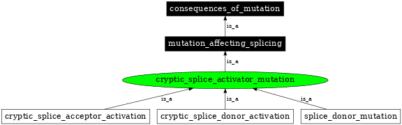 Graph image for SO:1000074