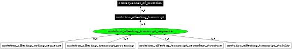 Graph image for SO:1000079