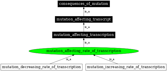 Graph image for SO:1000081
