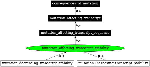 Graph image for SO:1000082