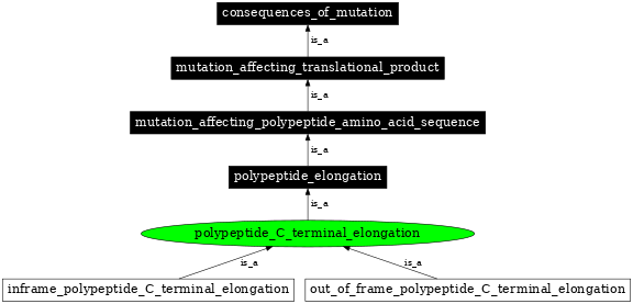 Graph image for SO:1000101