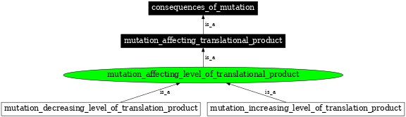 Graph image for SO:1000102