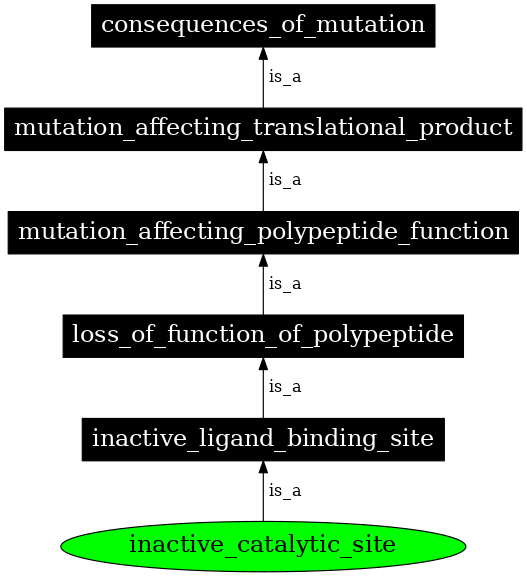 Graph image for SO:1000120