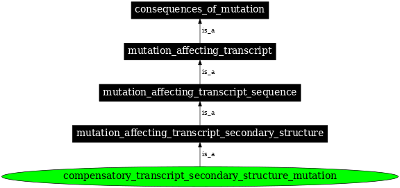 Graph image for SO:1000127