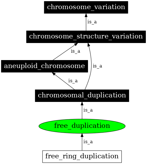 Graph image for SO:1000144