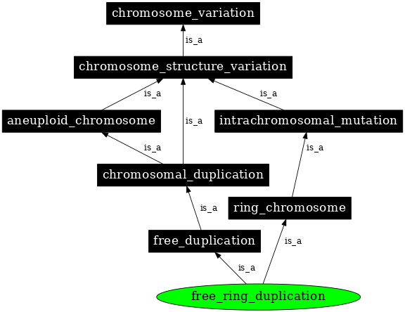 Graph image for SO:1000145