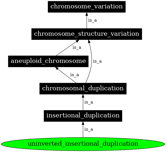 Graph image for SO:1000152