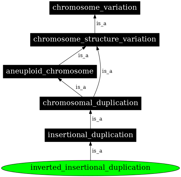 Graph image for SO:1000153