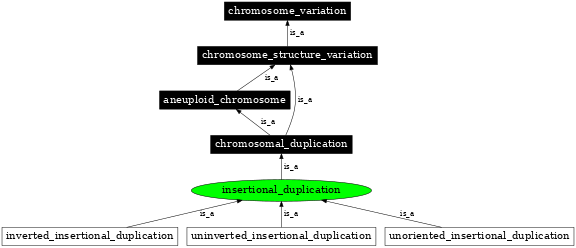 Graph image for SO:1000154
